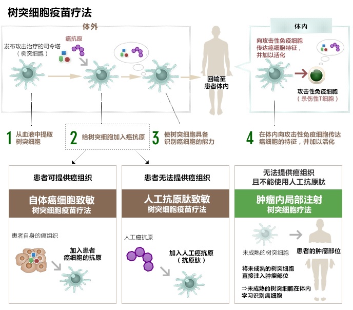 樹突細胞疫苗療法的種類