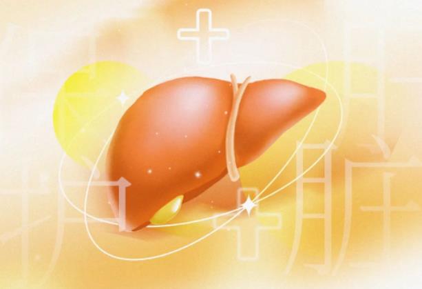 日本質子治療：肝癌